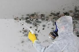 Best Comprehensive Air Testing for Mold Contaminants  in , CO